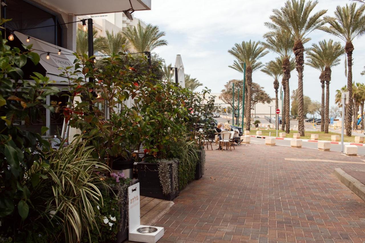 Cozy Studio "De Shalit" Herzliya ภายนอก รูปภาพ